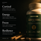 Ashwagandha KSM-66® | Premium Adaptogen for Stress Relief & Vitality